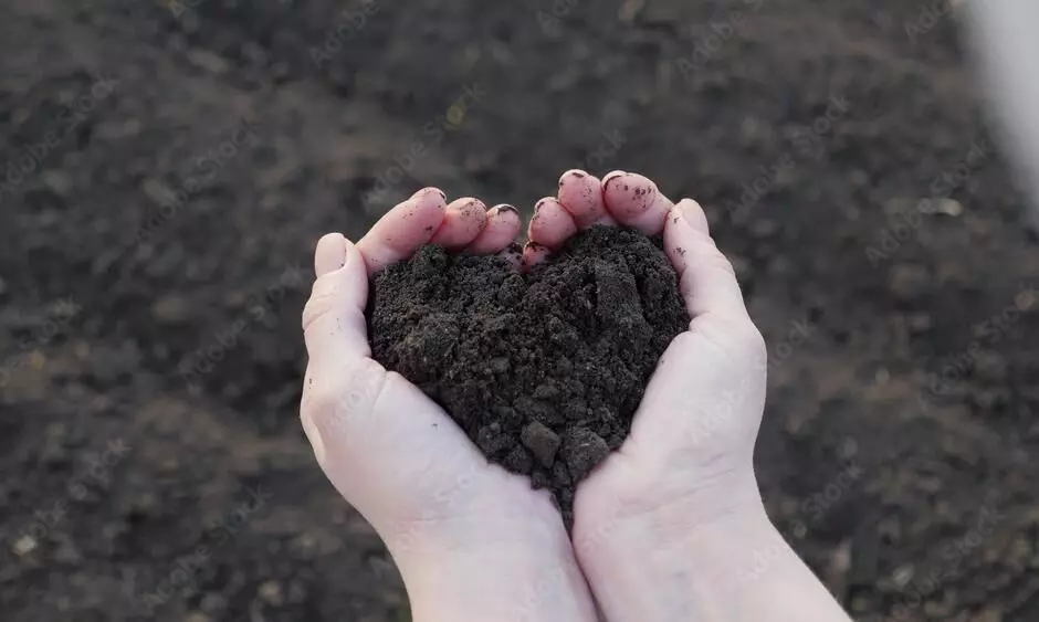 Decoder: What happens if you buy a carbon credit? Decoder: What happens if you buy a carbon credit?