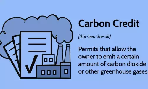 Decoder: What happens if you buy a carbon credit?